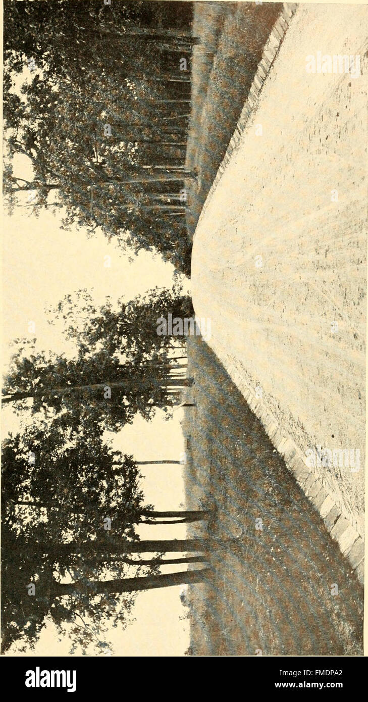 'Gettysburg and Lincoln' (1906) explores the pivotal Battle of ...