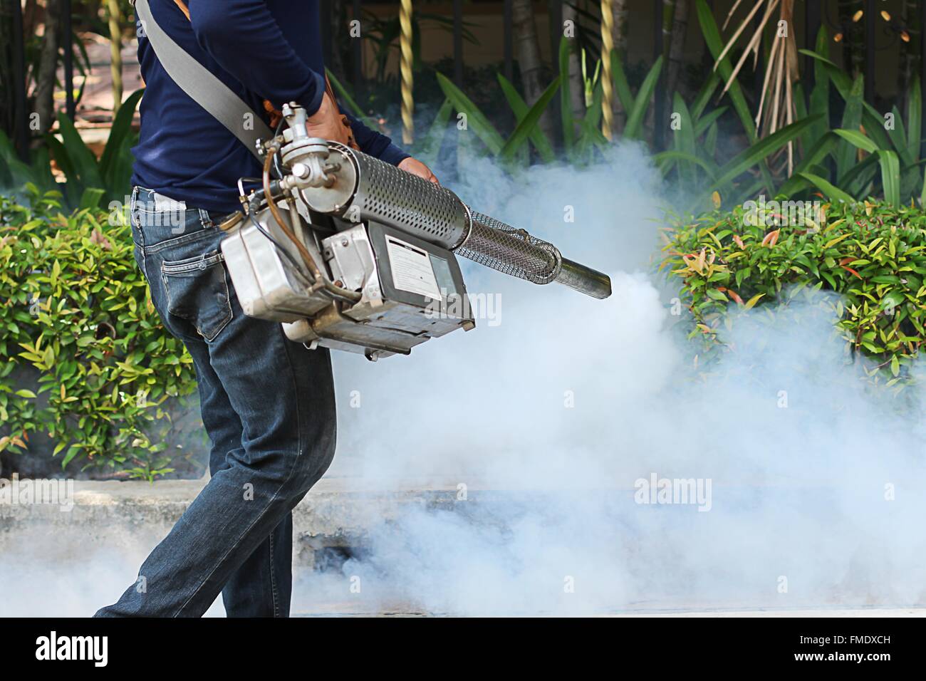 Fogging mosquito to prevent of dengue fever Stock Photo Alamy
