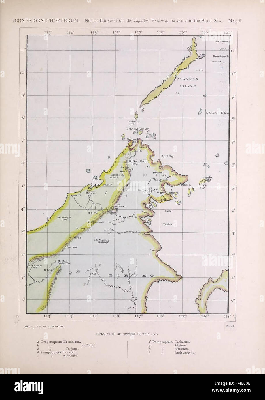 MAP 6 from 'Icones Ornithopterorum' presents detailed illustrations of ...