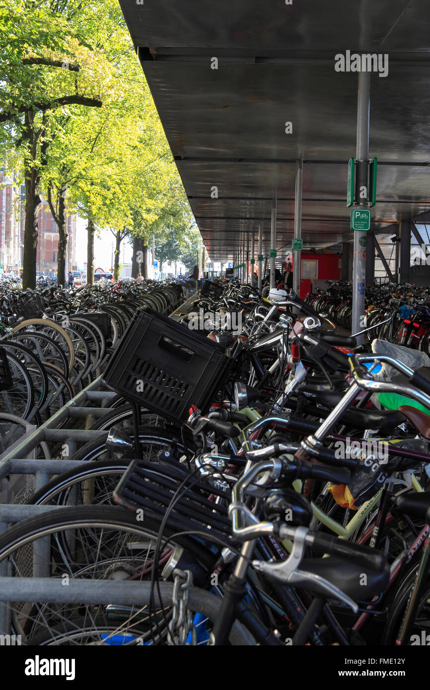 Bike Parking Central Station Amsterdam Stock Photos & Bike Parking