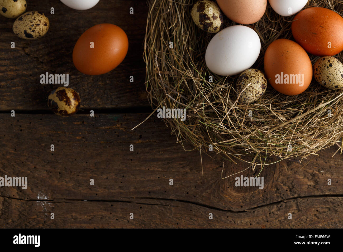 Fresh chicken and quail eggs in a nest on a wooden rustic background ...