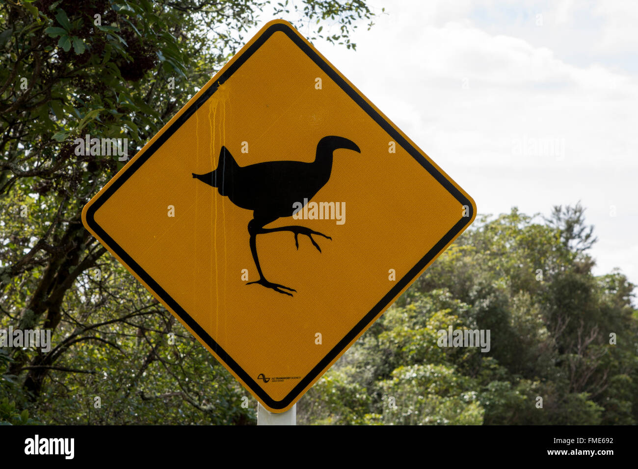 In New Zealand road signs are warning for birds like Pukekos crossing