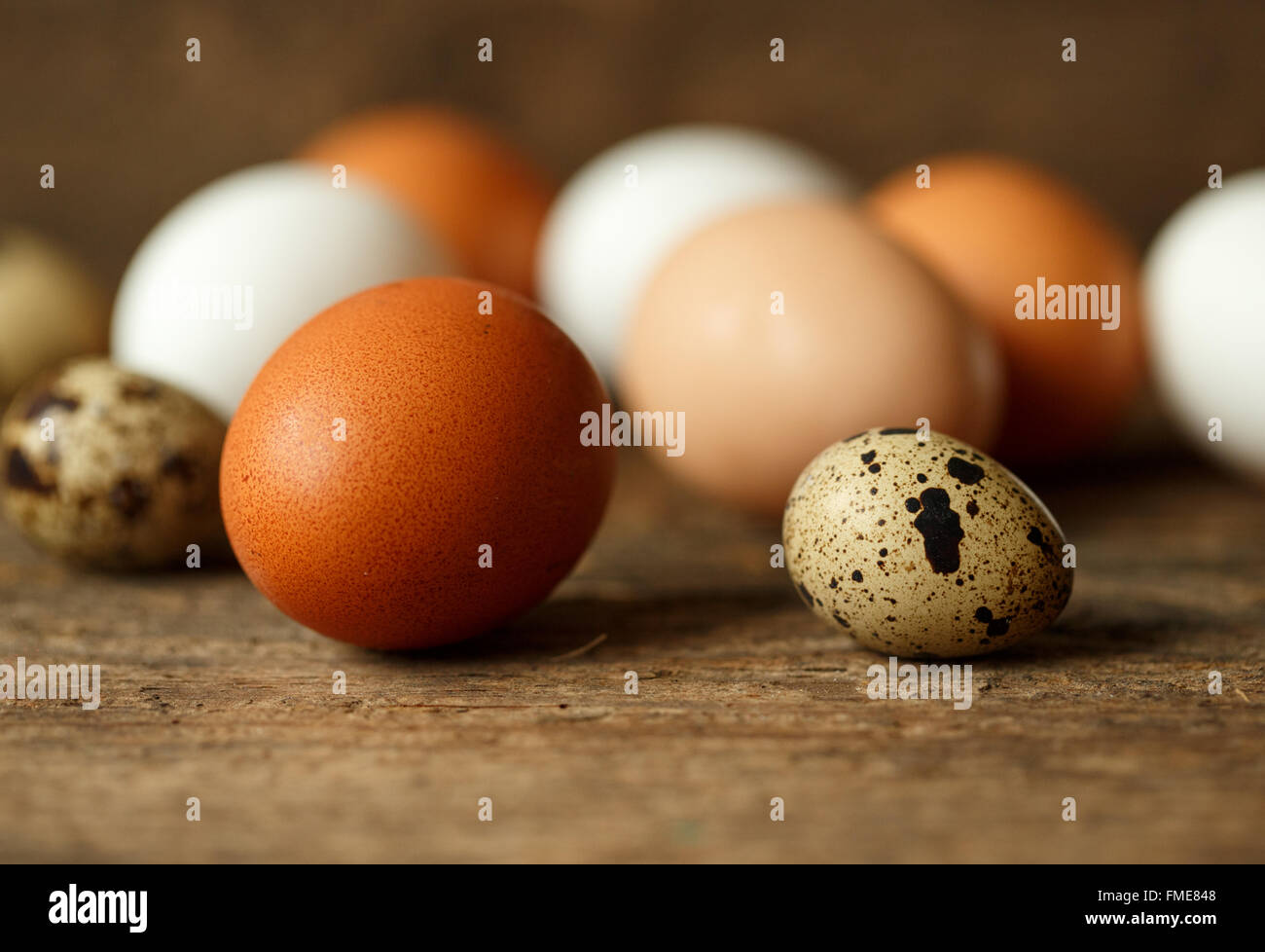 Fresh chicken and quail eggs on a wooden rustic background Stock Photo ...