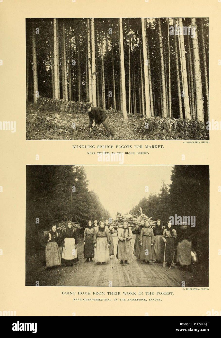 The 'Annual Report' provides a comprehensive review of an organization