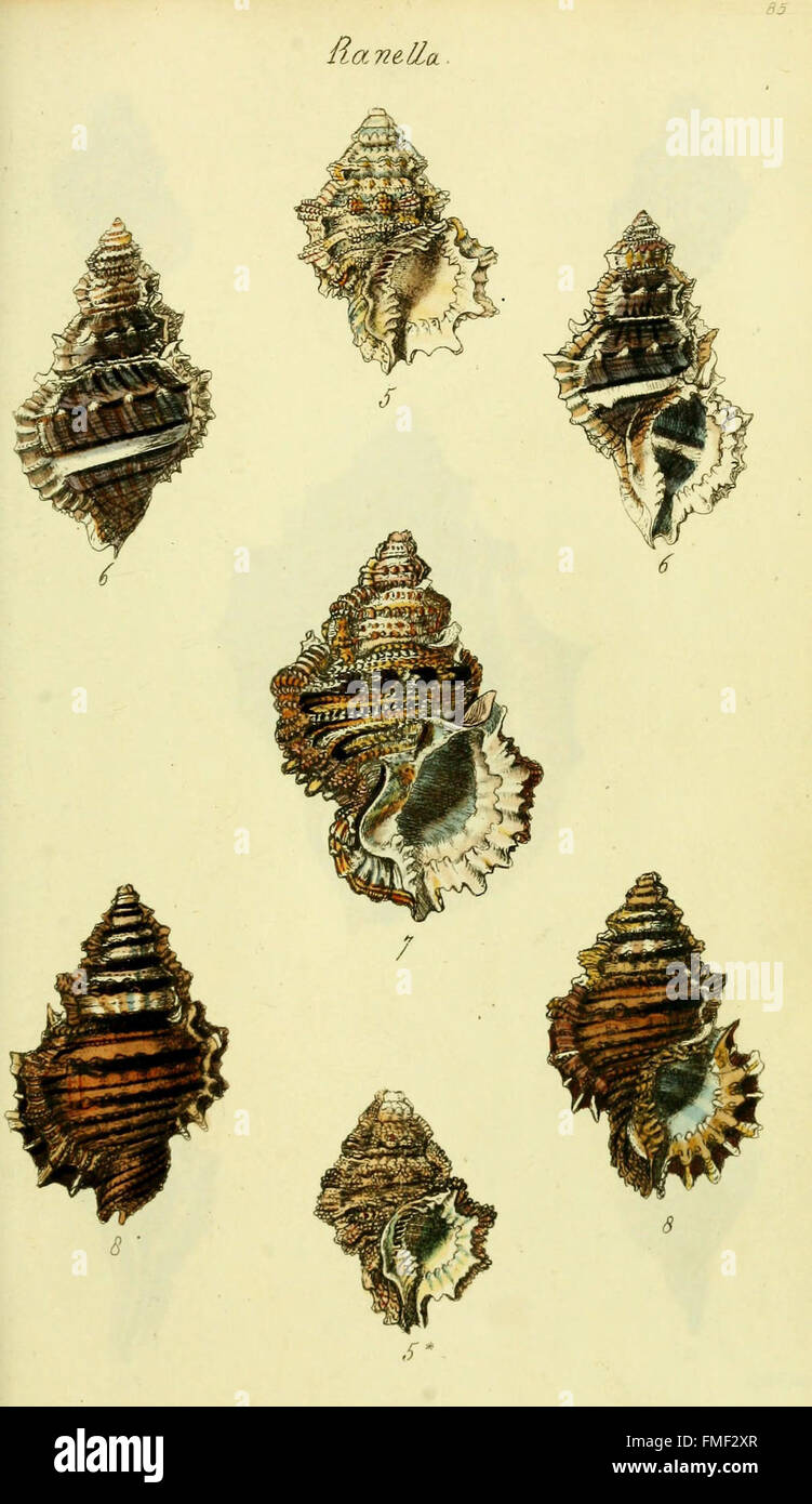 This volume presents full-colour illustrations of rare and previously ...