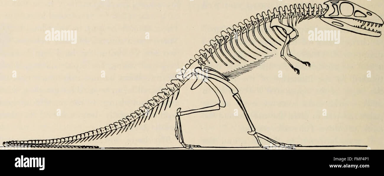 Published in 1951, 'The Dinosaur Book' provides an illustrated guide to ...