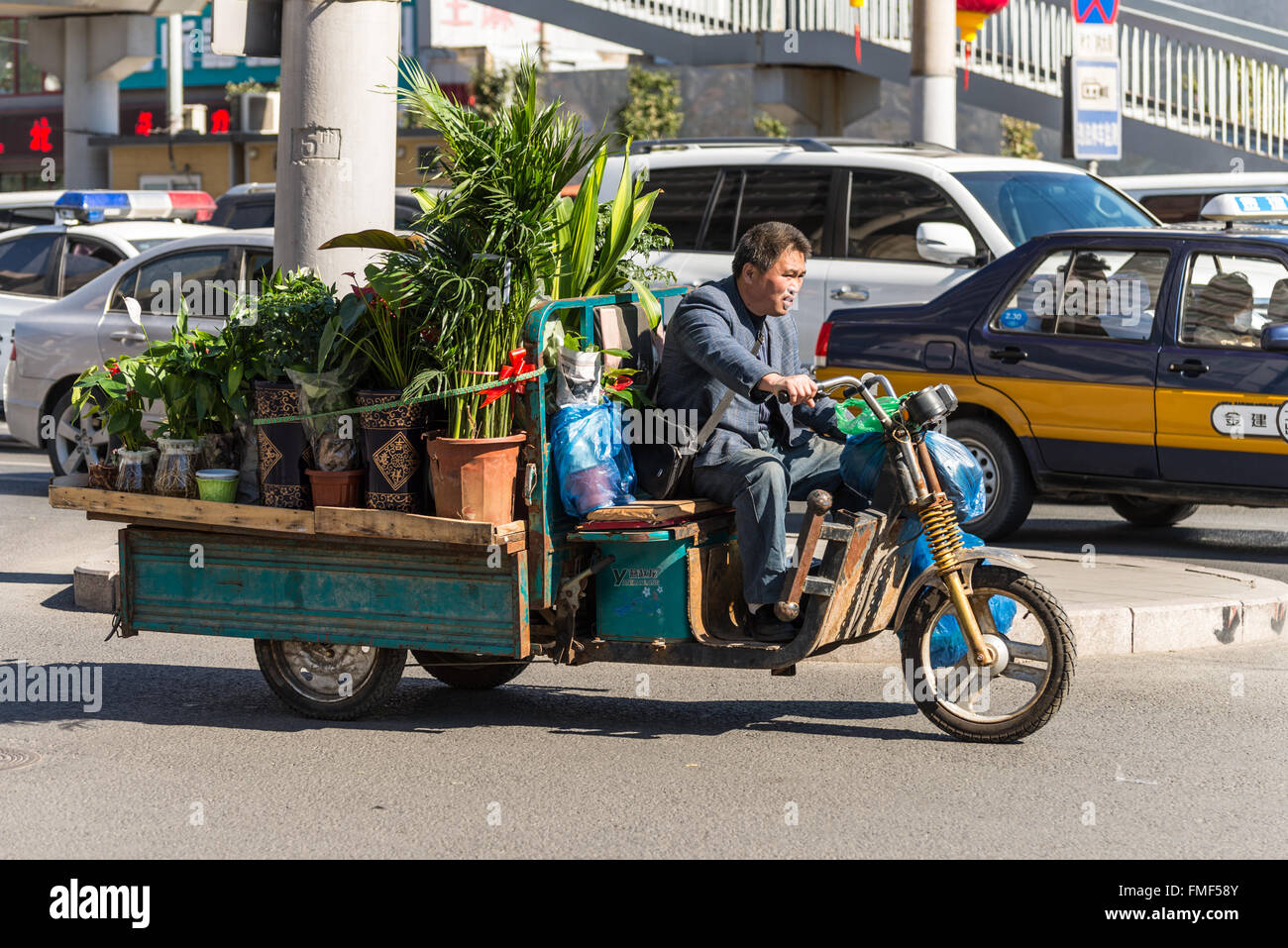 Man transporting potted plants by motor tricycle on a street in Beijing, China. Stock Photo