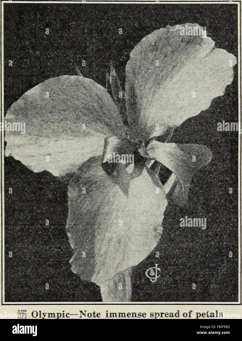 Antique world map 1914 hi res stock - The Finest Cannas In The World 1914 FMF5R5 