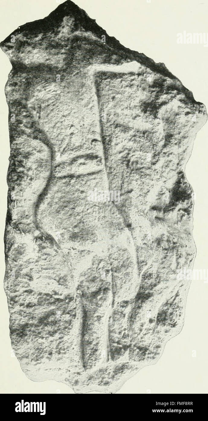 An introduction to the study of prehistoric art (1915 Stock Photo Alamy