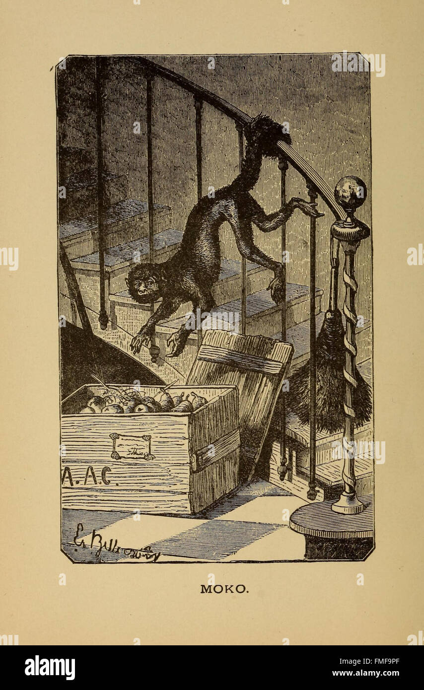 'The History of My Friends' (Pl. 1) is an illustration-based narrative