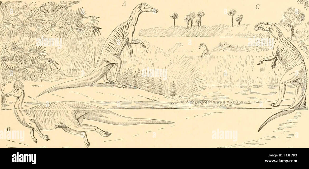This 1917 work explores the theory of life's origins and evolution ...