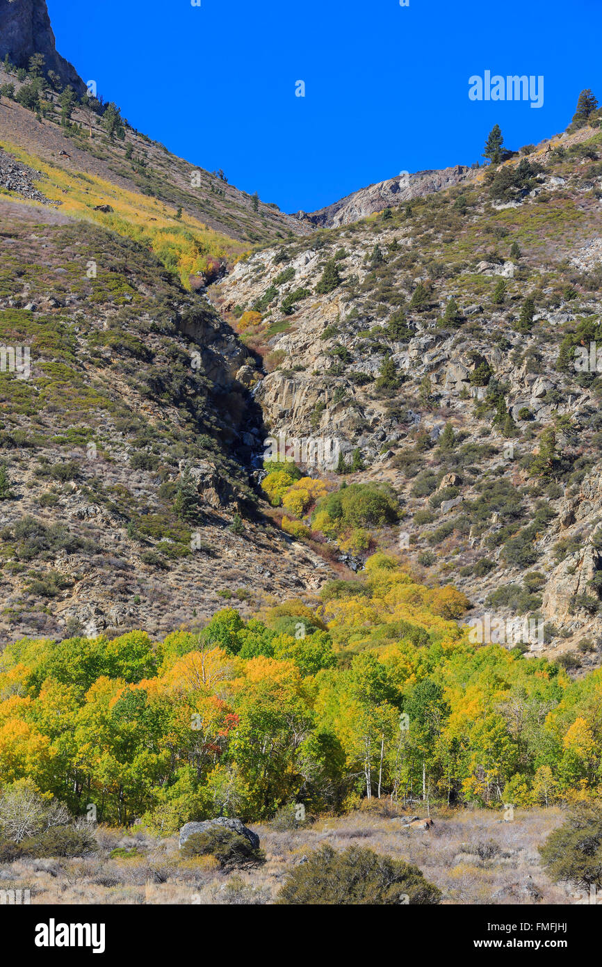 Beautiful fall color at June Lake Loop, California Stock Photo - Alamy