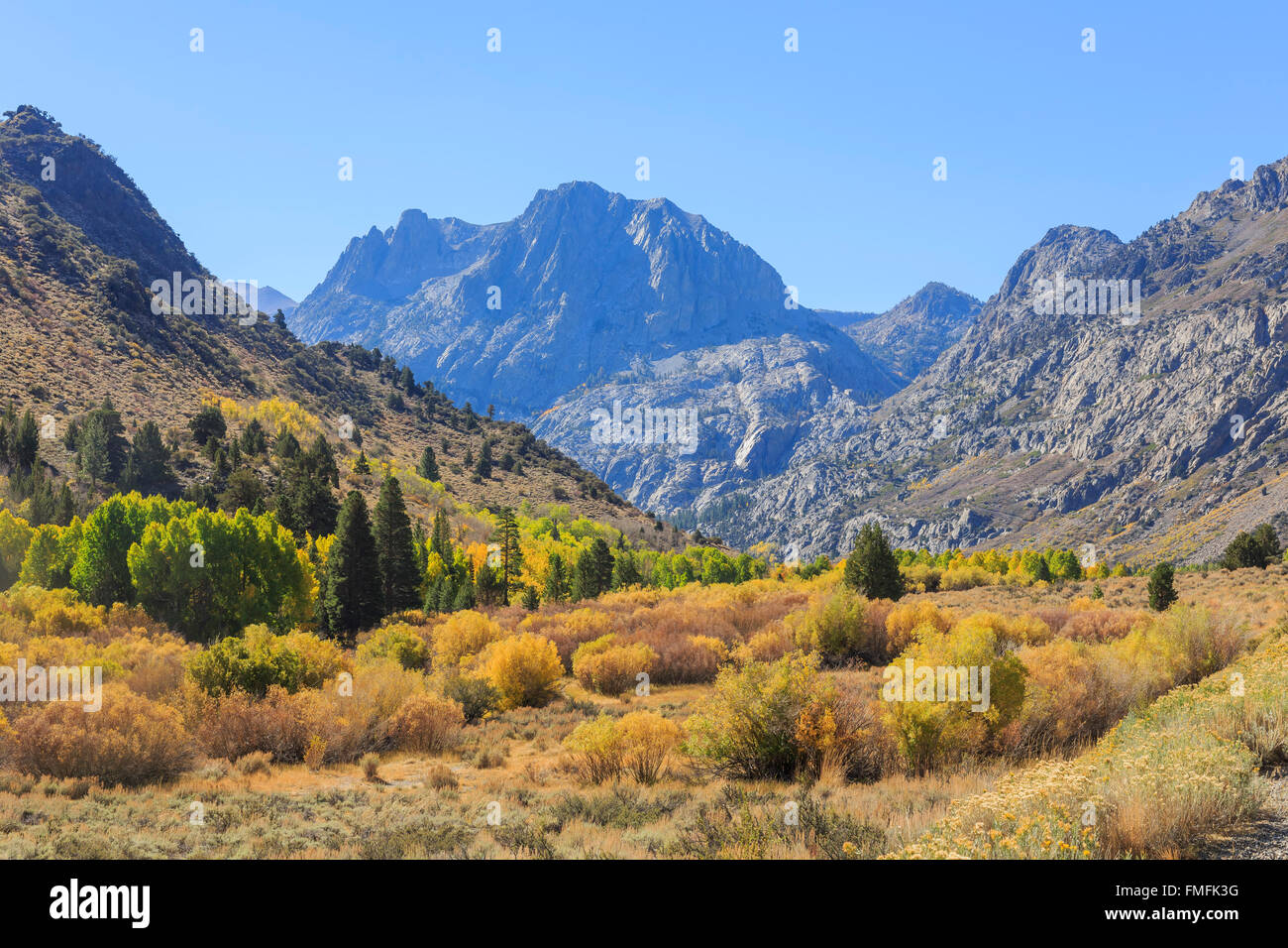 Beautiful fall color at June Lake Loop, California Stock Photo - Alamy
