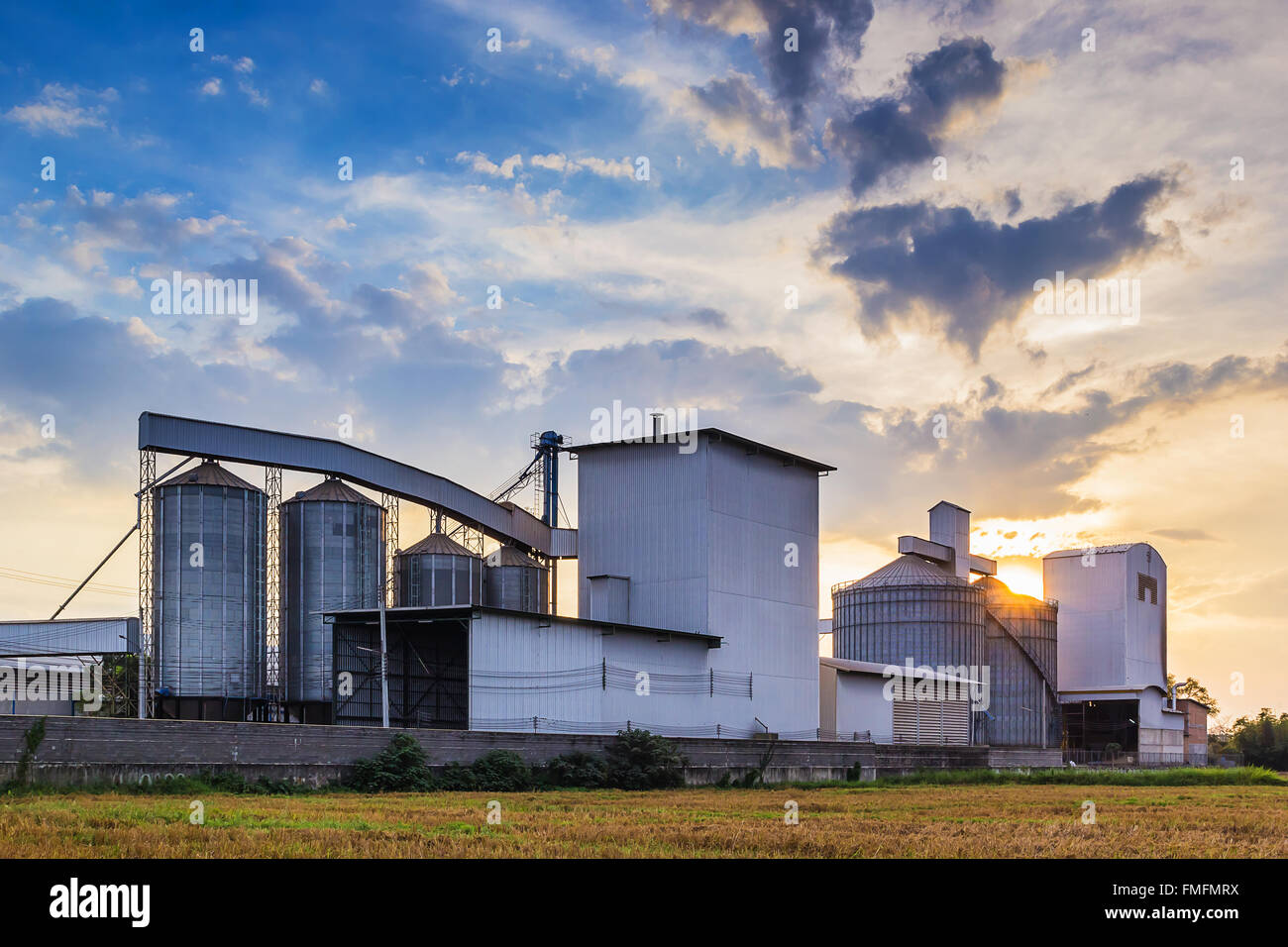 Landscape shot rice mill with sunset background. Stock Photo