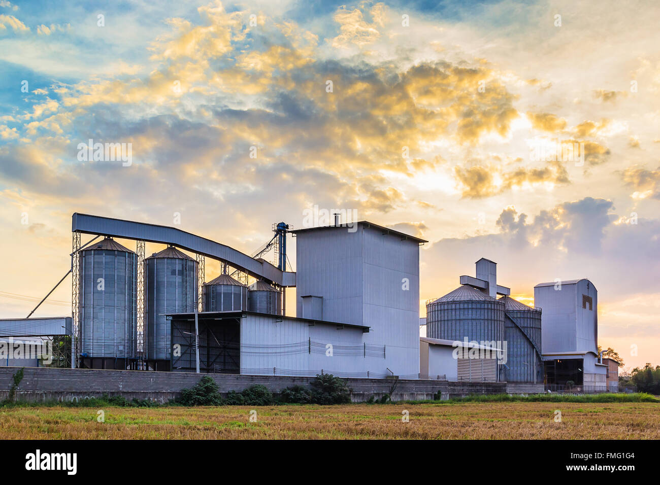 Landscape shot rice mill with sky sunset background. Stock Photo