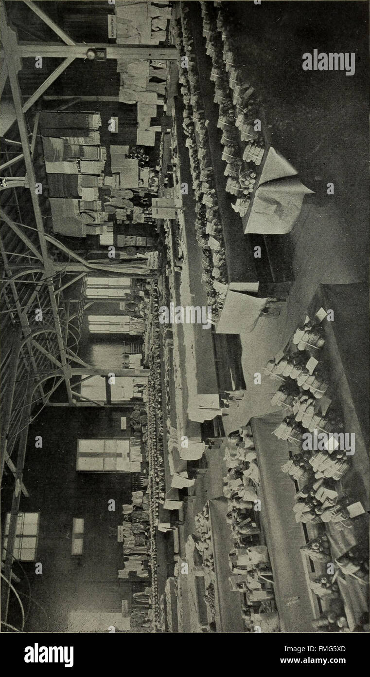 The *Catalogue of the Hampton Normal and Agricultural Institute* (1910