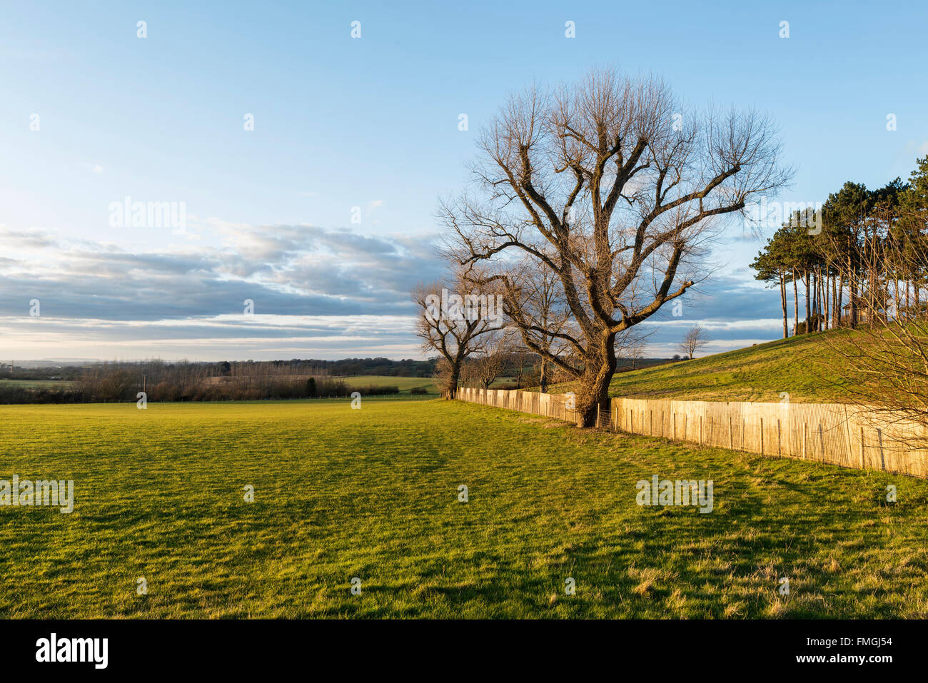 Spring countryside landscape during beautiful sunset Stock Photo