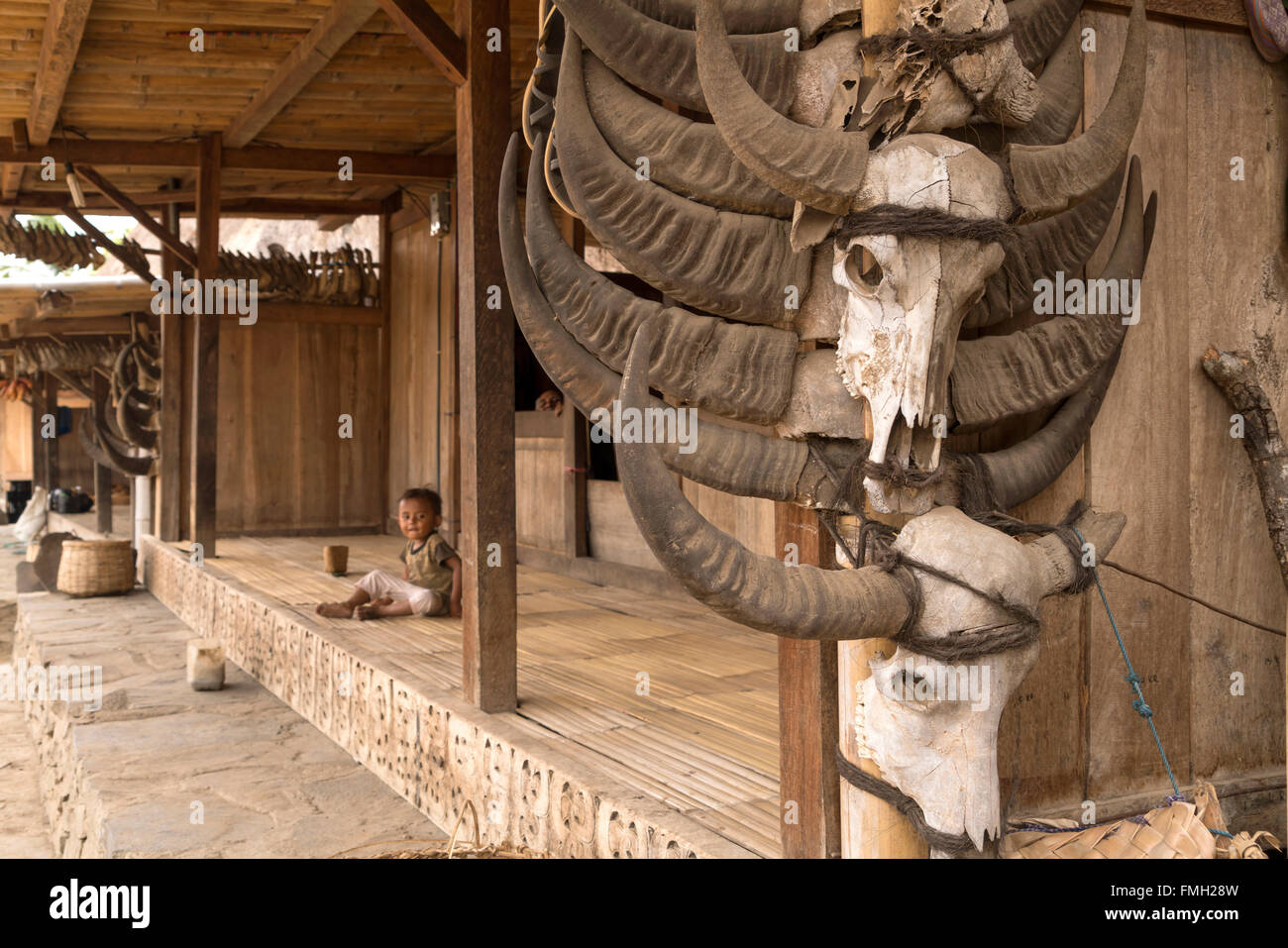 wooden patio  decorated with horns of water buffaloes in the traditional Ngada village Bena near Bajawa, Flores, Indonesia, Asia Stock Photo