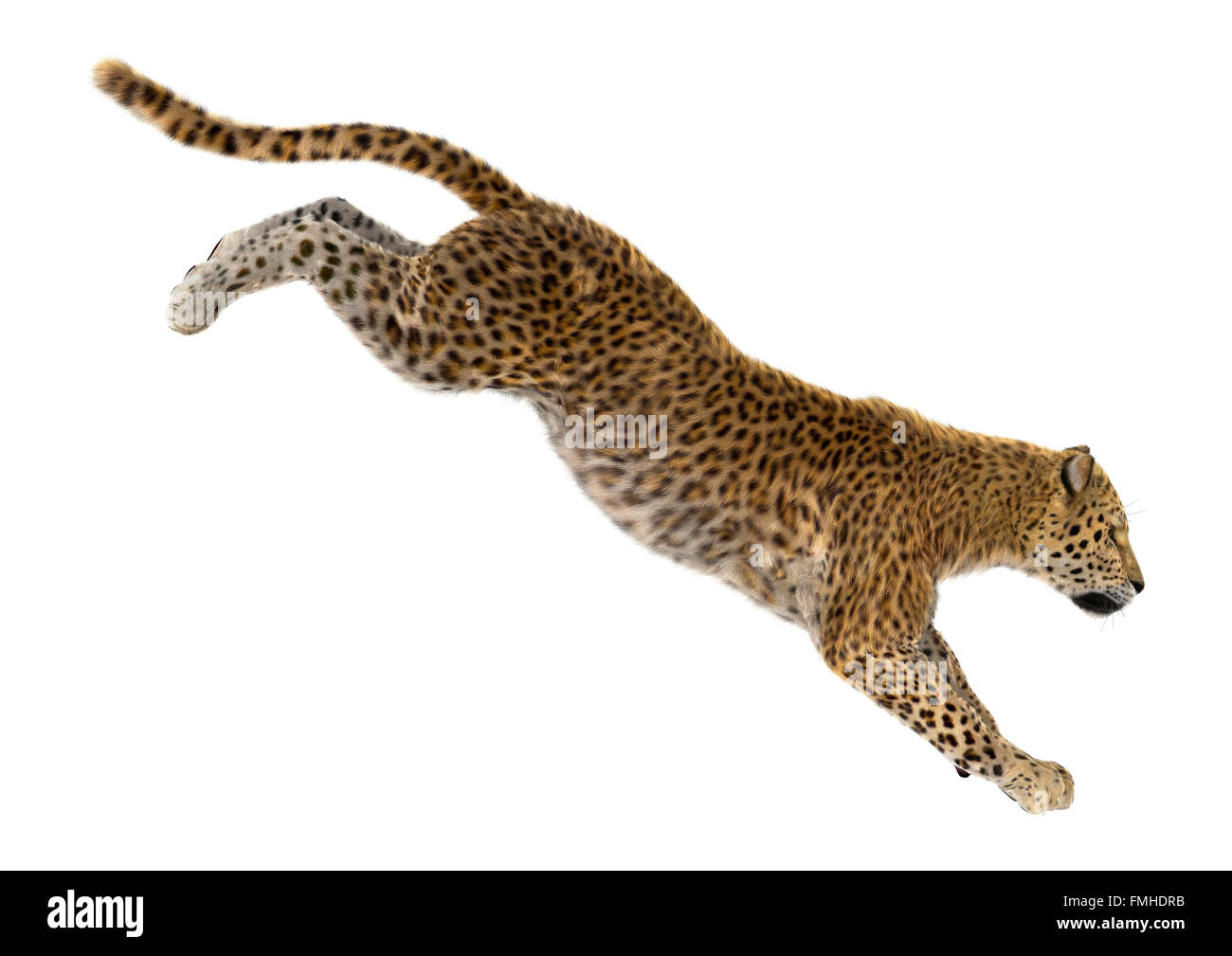 Leopard jumping Cut Out Stock Images & Pictures - Alamy