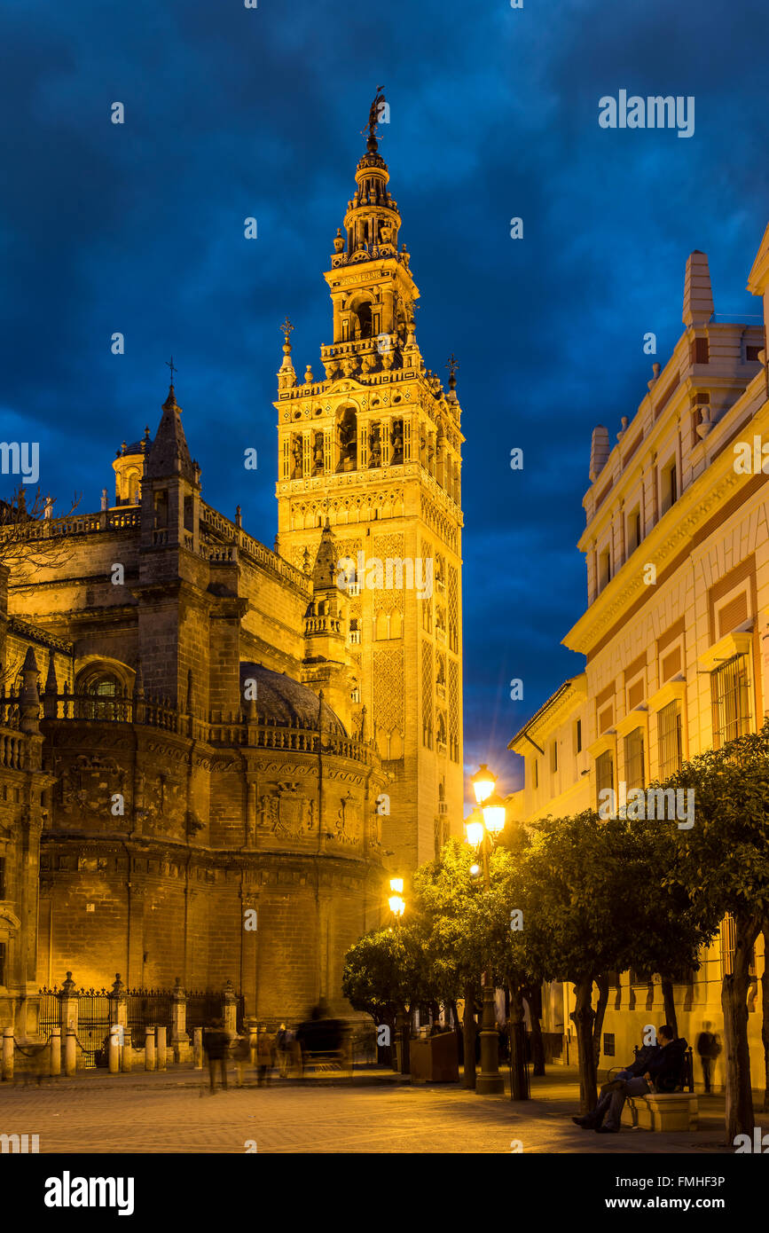 Night view of the Giralda bell tower, Seville, Andalusia, Spain Stock Photo  - Alamy