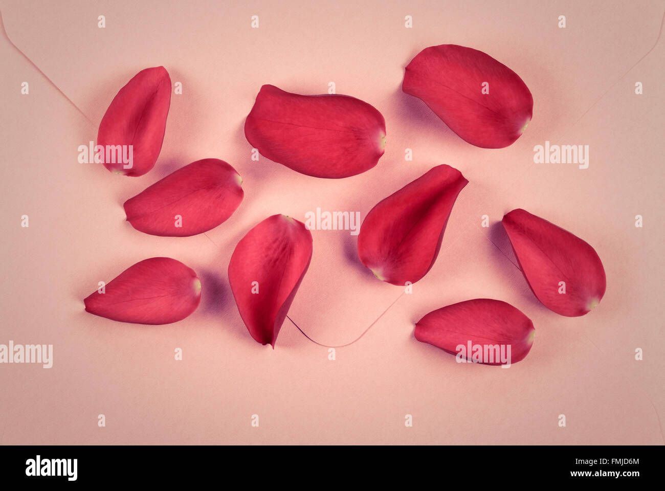 Red Rose Petals on pink Envelope Stock Photo