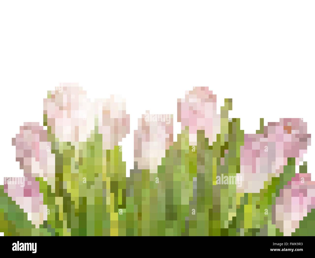 Tulips isolated on white. EPS 10 Stock Vector Image & Art - Alamy