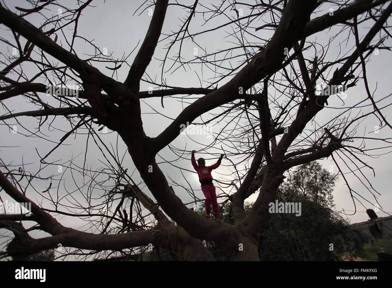Gaza City, Gaza Strip, Palestinian Territory. 12th Mar, 2016. Palestinian girls climb up a tree during the funeral of Israa Abu Khussa, 6, on March 12, 2016 in Beit Lahiya in the north of the Gaza strip. Israeli planes struck the bases of the Hamas group's military wing, the Ezzedine al-Qassem Brigades, in the Gaza Strip, killing Yasin Abu Khussa living near one of the targets and injuring his sister, Gaza health ministry spokesman Ashraf al-Qudra said. The strikes came hours after four rockets fired from the Gaza Strip by Palestinian militants hit neighbouring Israel (Credit Image: © Ashra Stock Photo