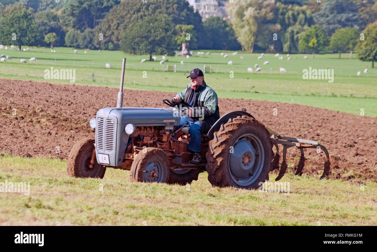 Sussex, Museum Ferguson Tractor Stock Photo Alamy
