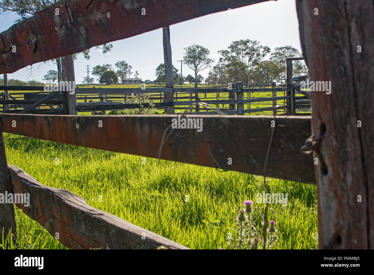 Stockyard rails Stock Photo Alamy