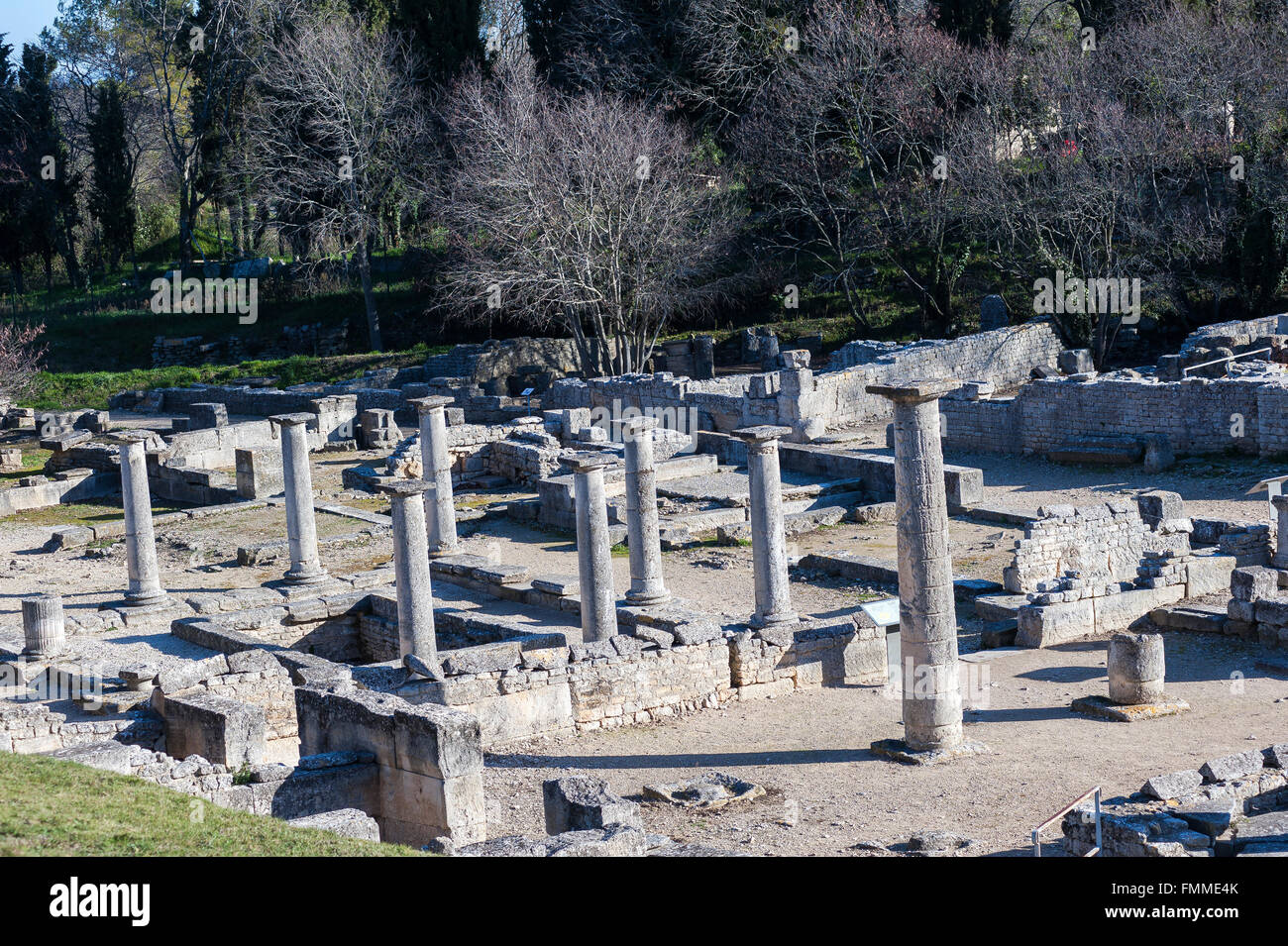 Les antiques, et les ruines de Glanum, Saint Rémy de Provence, BDR