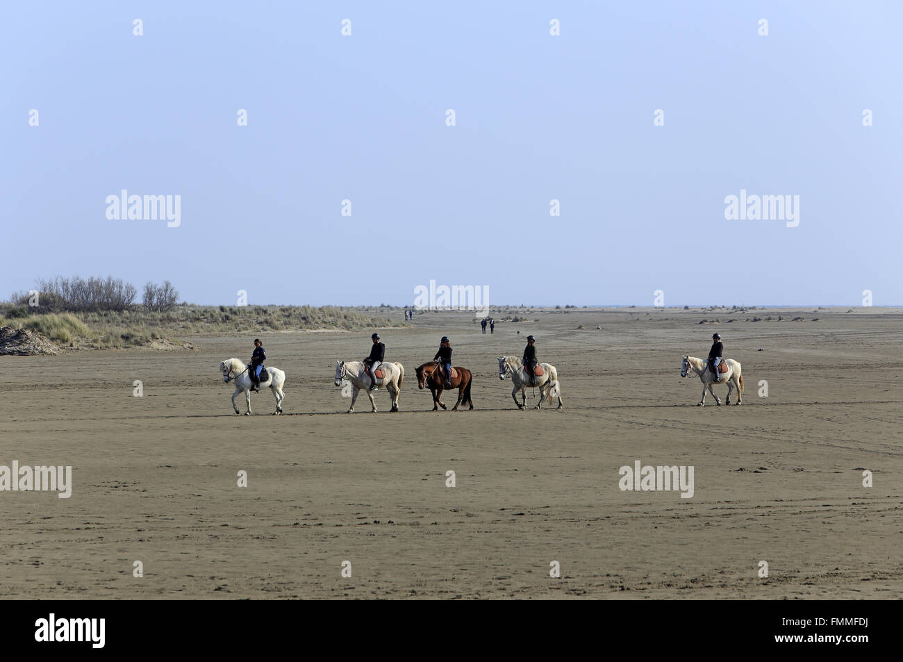 Le Grau Du Roi, Languedoc-Roussillon, France. 12th March 2016. Horseback riding on the beach Espiguette in the Camargue Gard. Credit:  Digitalman/Alamy Live News Stock Photo