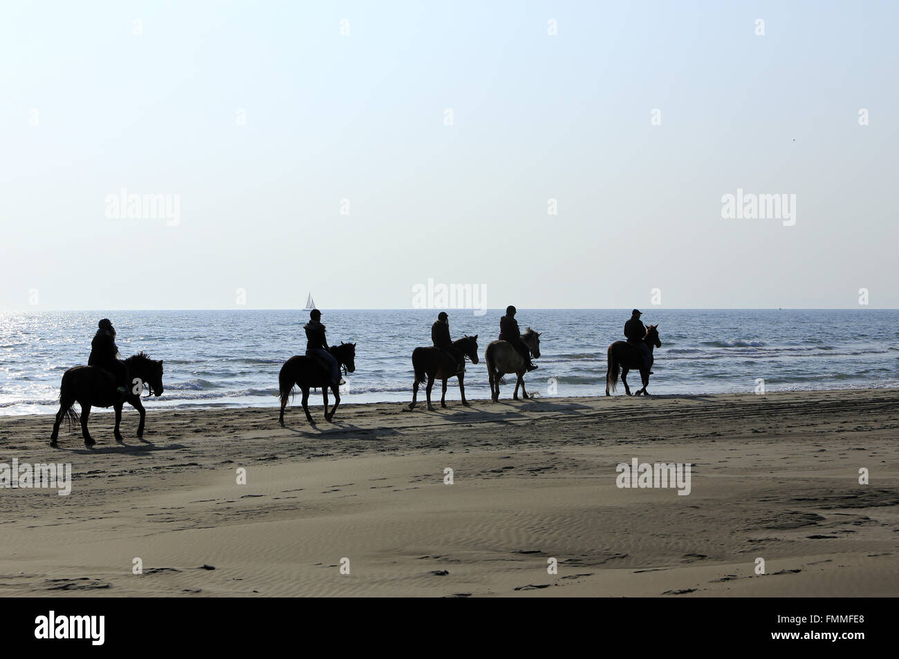 Le Grau Du Roi, Languedoc-Roussillon, France. 12th March 2016. Horseback riding on the beach Espiguette in the Camargue Gard. Credit:  Digitalman/Alamy Live News Stock Photo