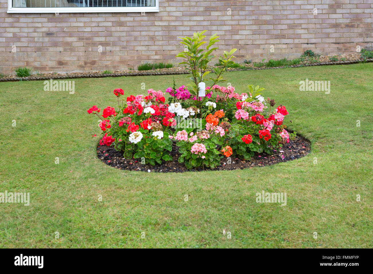 a small circular flower bed in the front garden of a house in the uk