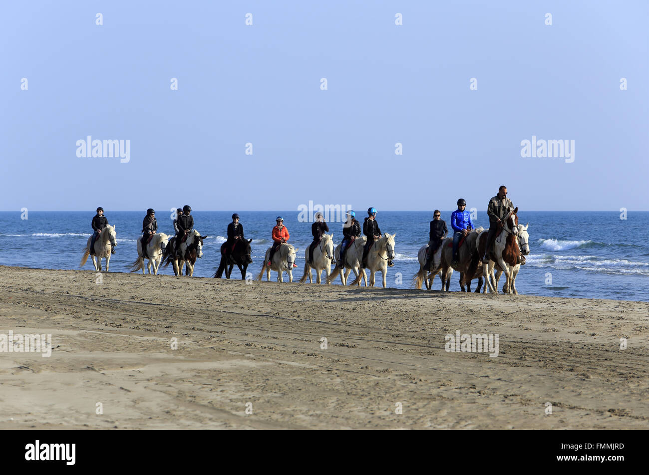 Le Grau Du Roi, Languedoc-Roussillon, France. 12th March 2016. Horseback riding on the beach Espiguette in the Camargue Gard. Credit:  Digitalman/Alamy Live News Stock Photo