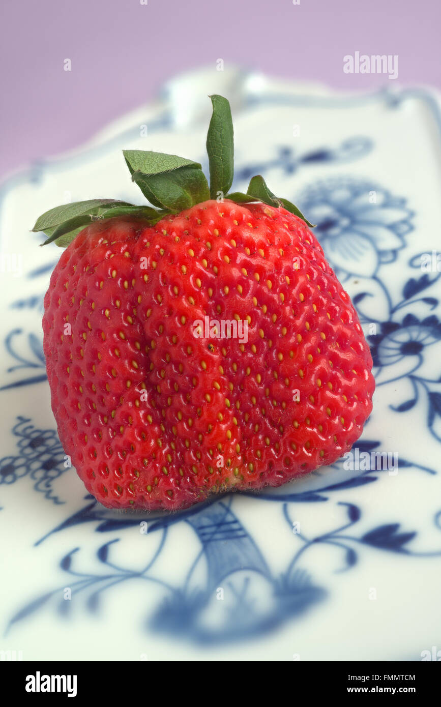 A strawberry fruit on Meissen porcelain (onion pattern). Eine Erdbeere auf Meissener Porzellan Stock Photo