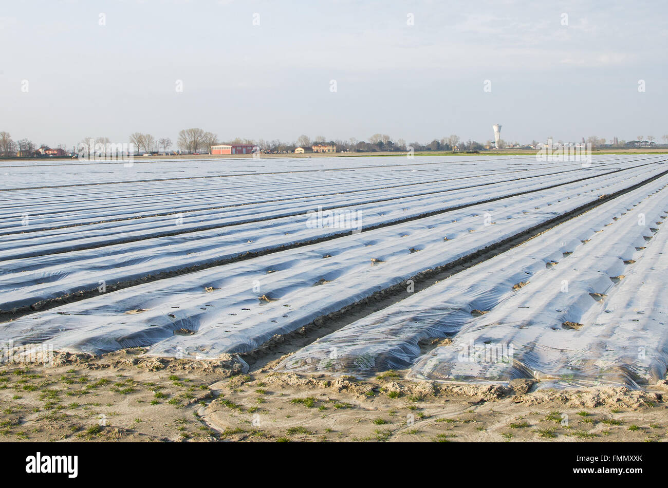 plastic mulch Stock Photo