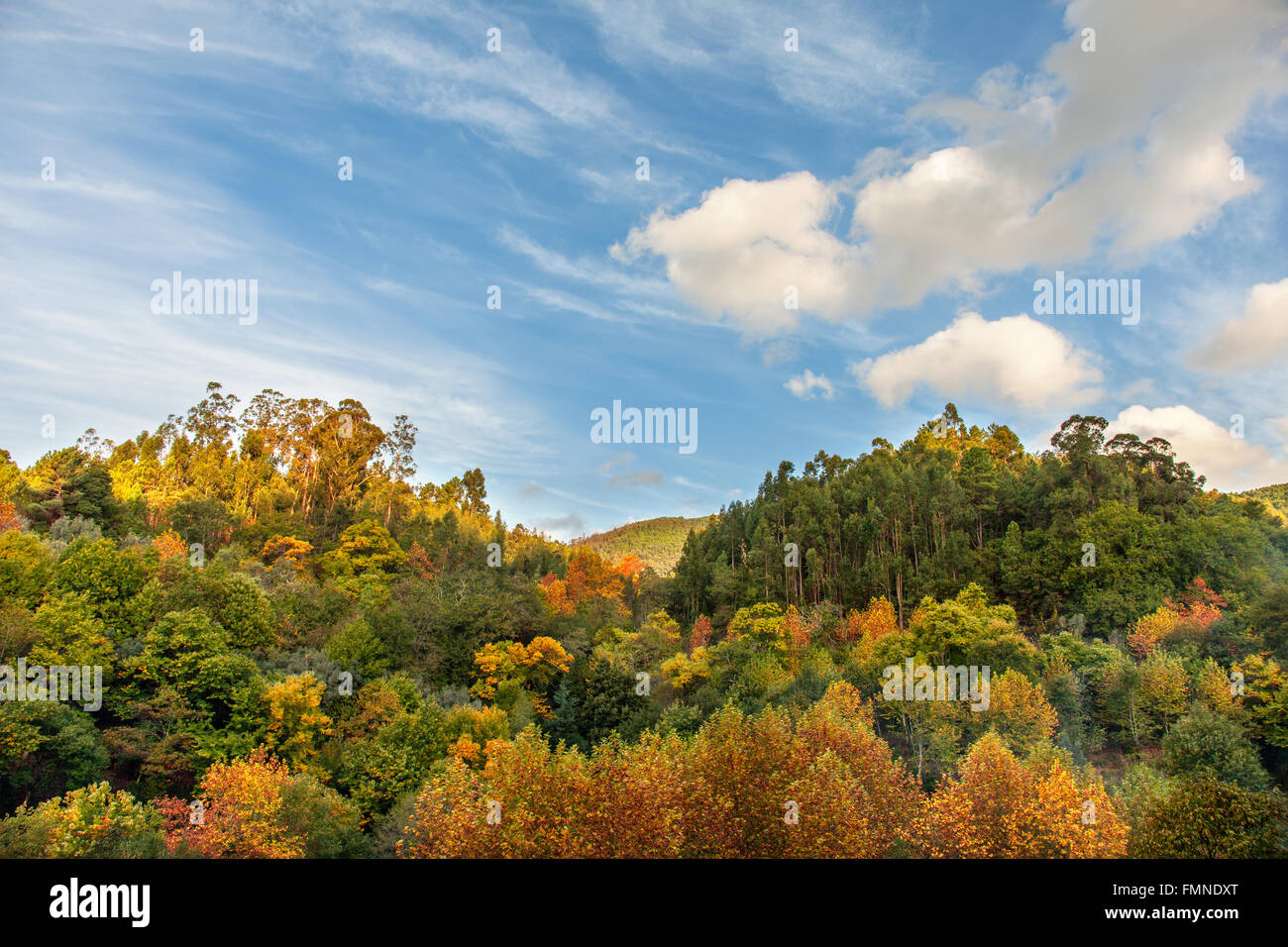 Mountain autumn landscape with colorful forest and beautiful sky Stock ...