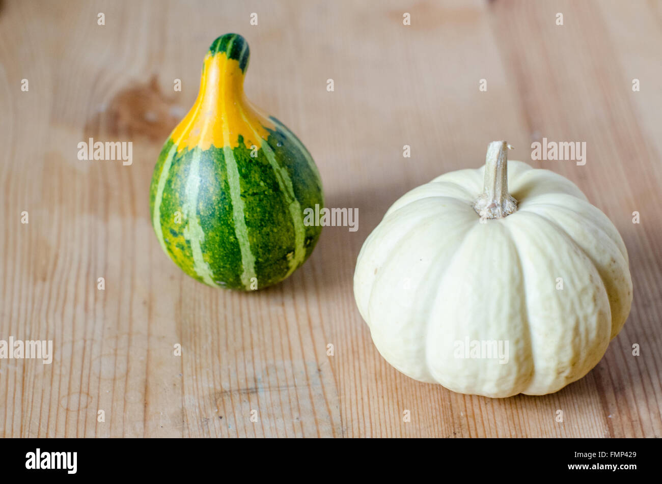 Small cute pumpkins Stock Photo