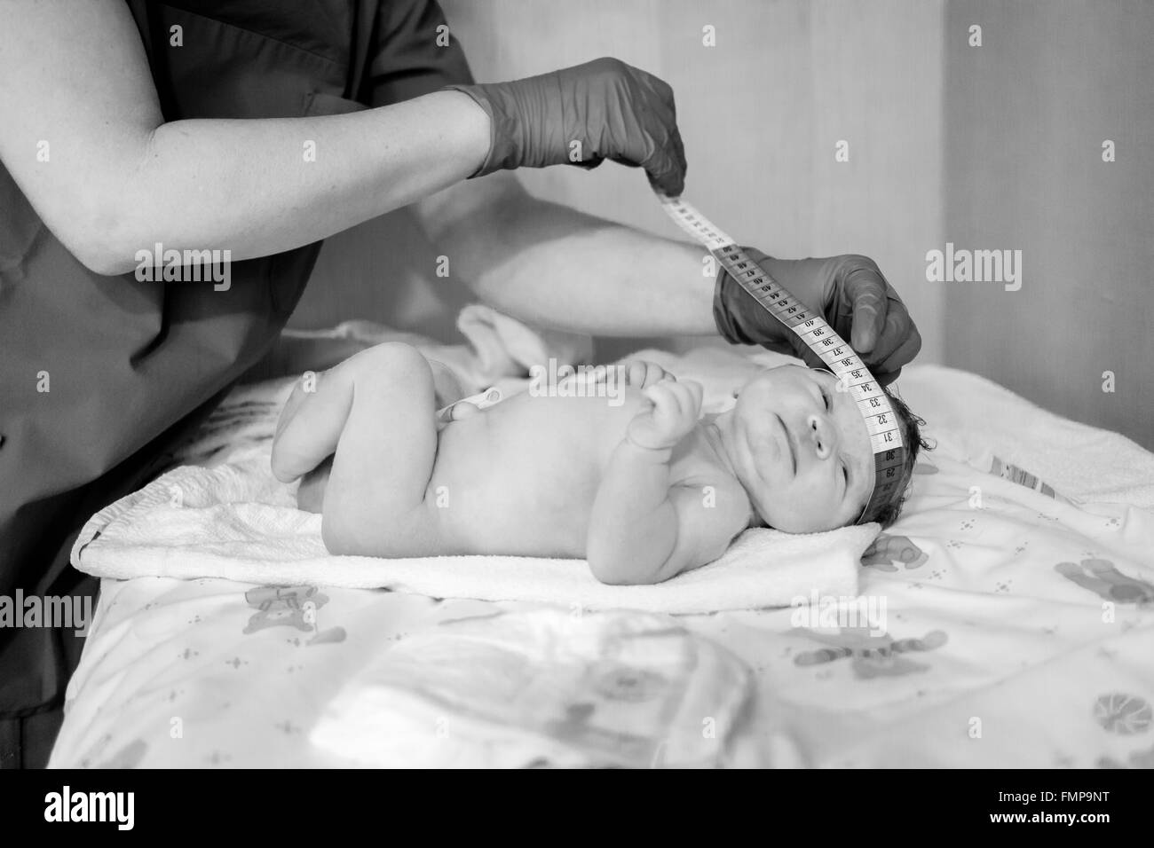 Newborn baby after birth, measuring head circumference Stock Photo