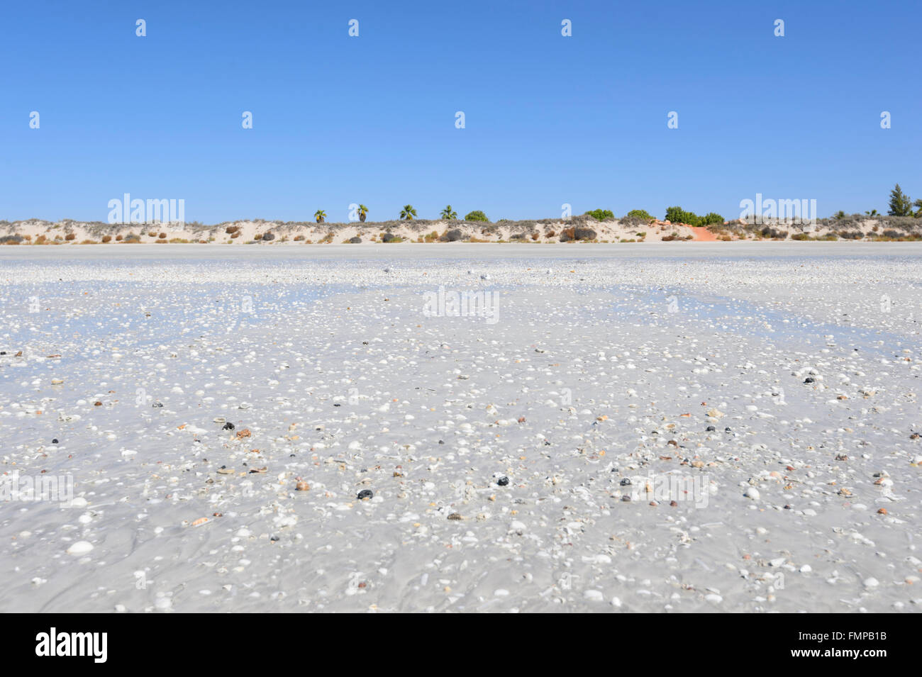 Eighty Mile Beach, Western Australia, WA, Australia Stock Photo