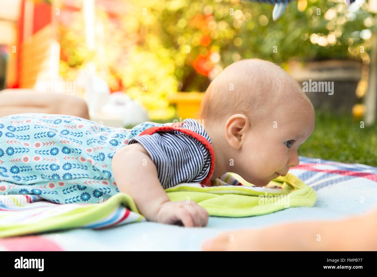 Baby lying on its stomach or tummy on a blanket Stock Photo