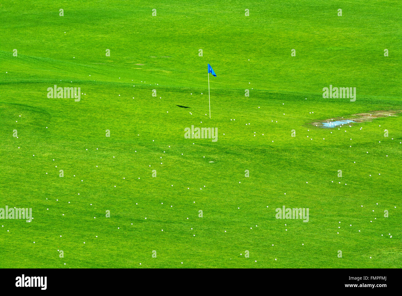 Early morning sunlight brings out the vibrant green colors of a golf course sprinkled with golf balls around a target flag Stock Photo
