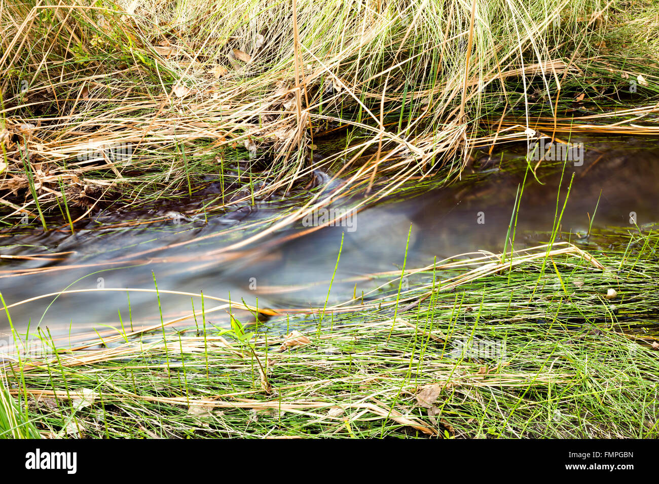 A small creek flowing through a rocky pathway that is covered with grass and weeds Stock Photo