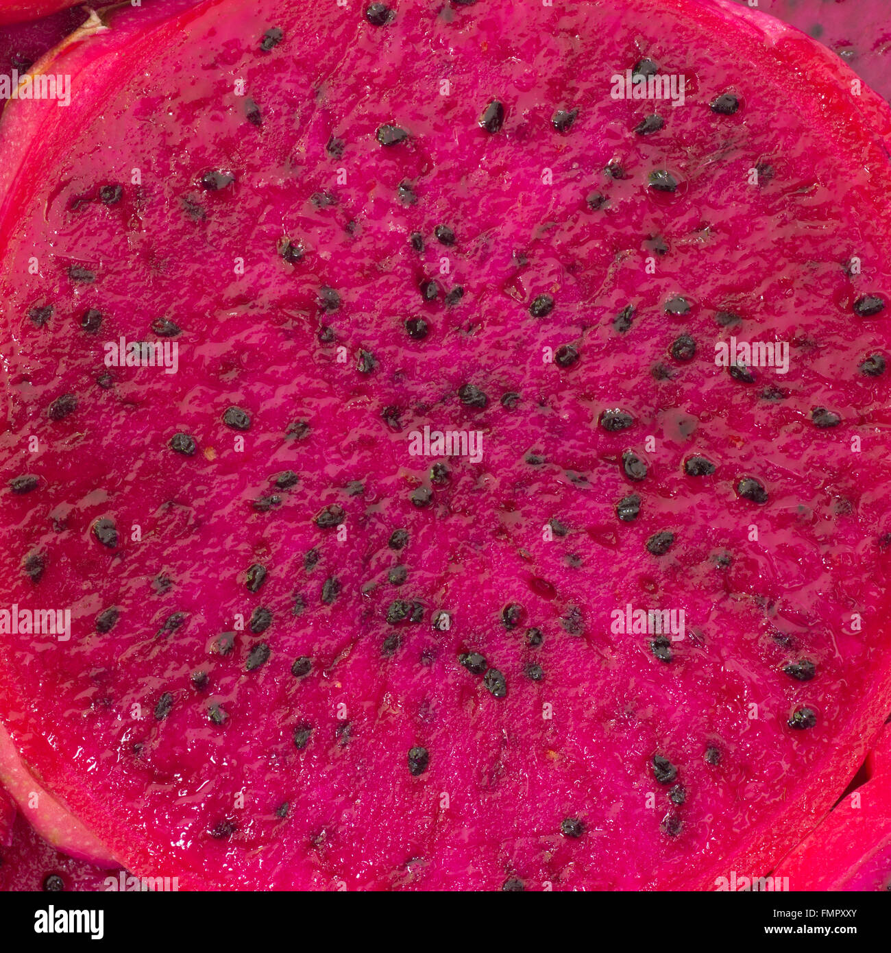 sliced red dragon fruit as background Stock Photo
