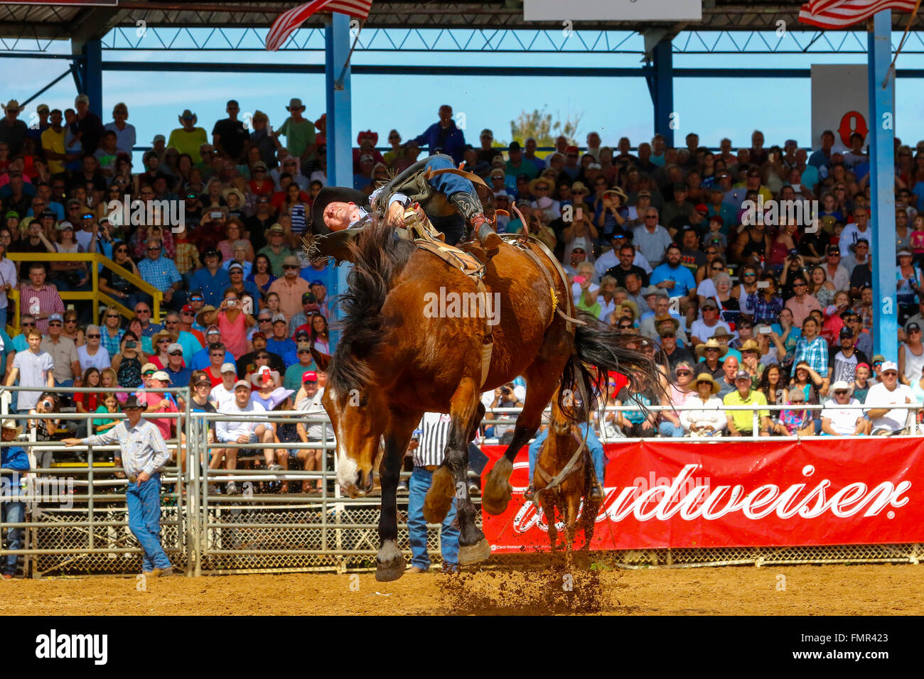 Florida, USA. 12th March, 2016. Thousands of rodeo enthusiasts turned ...