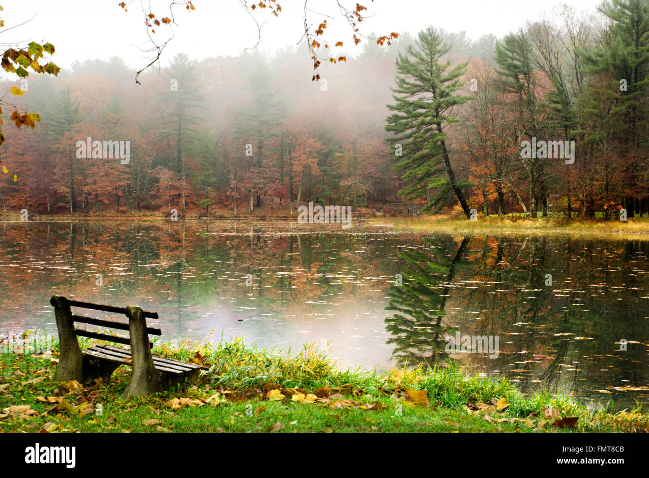 Fall sunrise landscape on peaceful lake with park bench at Chenango