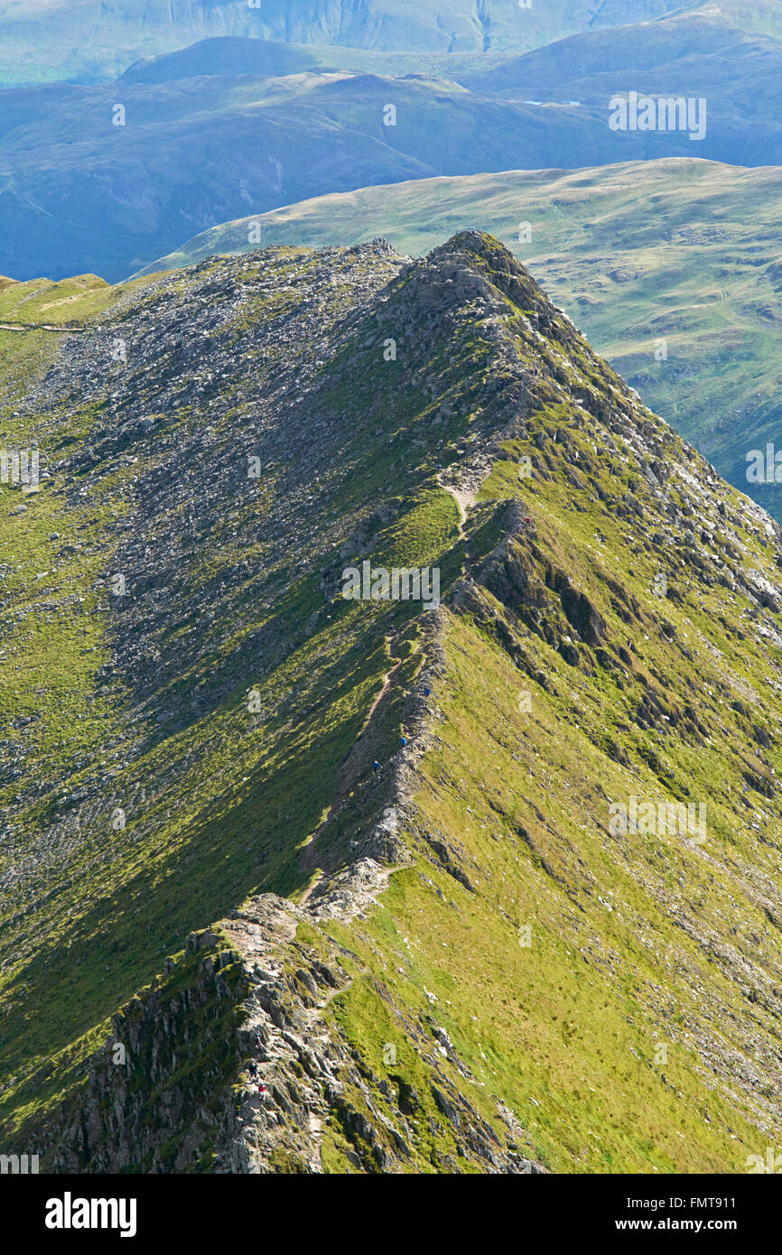 Lake district striding edge walkers hi-res stock photography and images ...