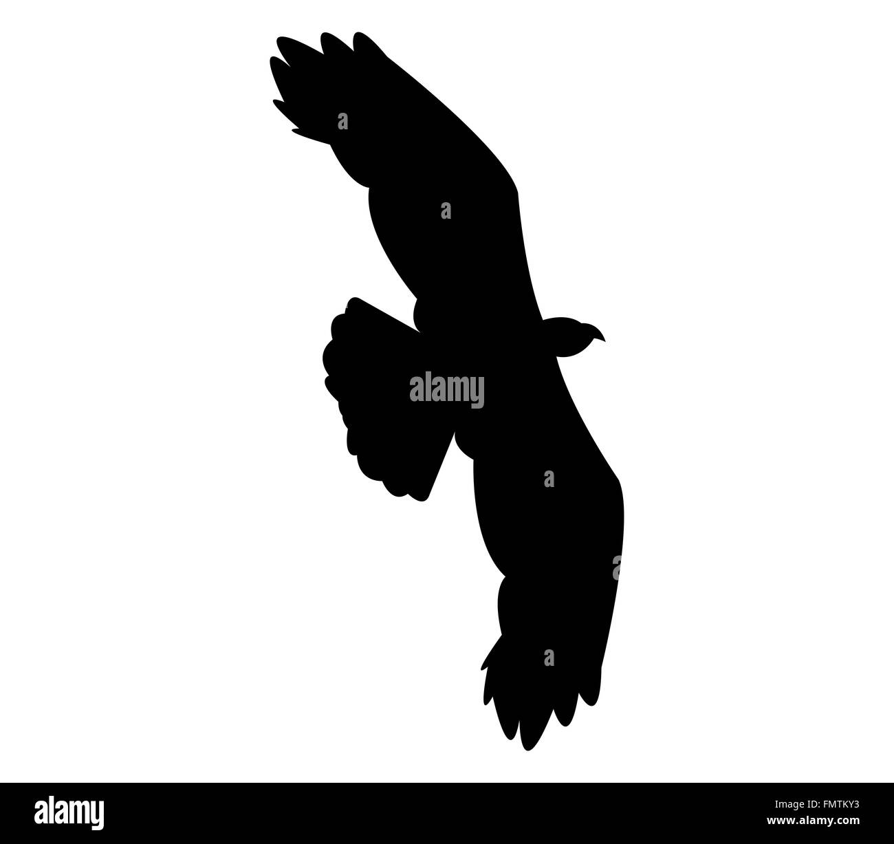 Soaring eagle Black and White Stock Photos & Images - Alamy