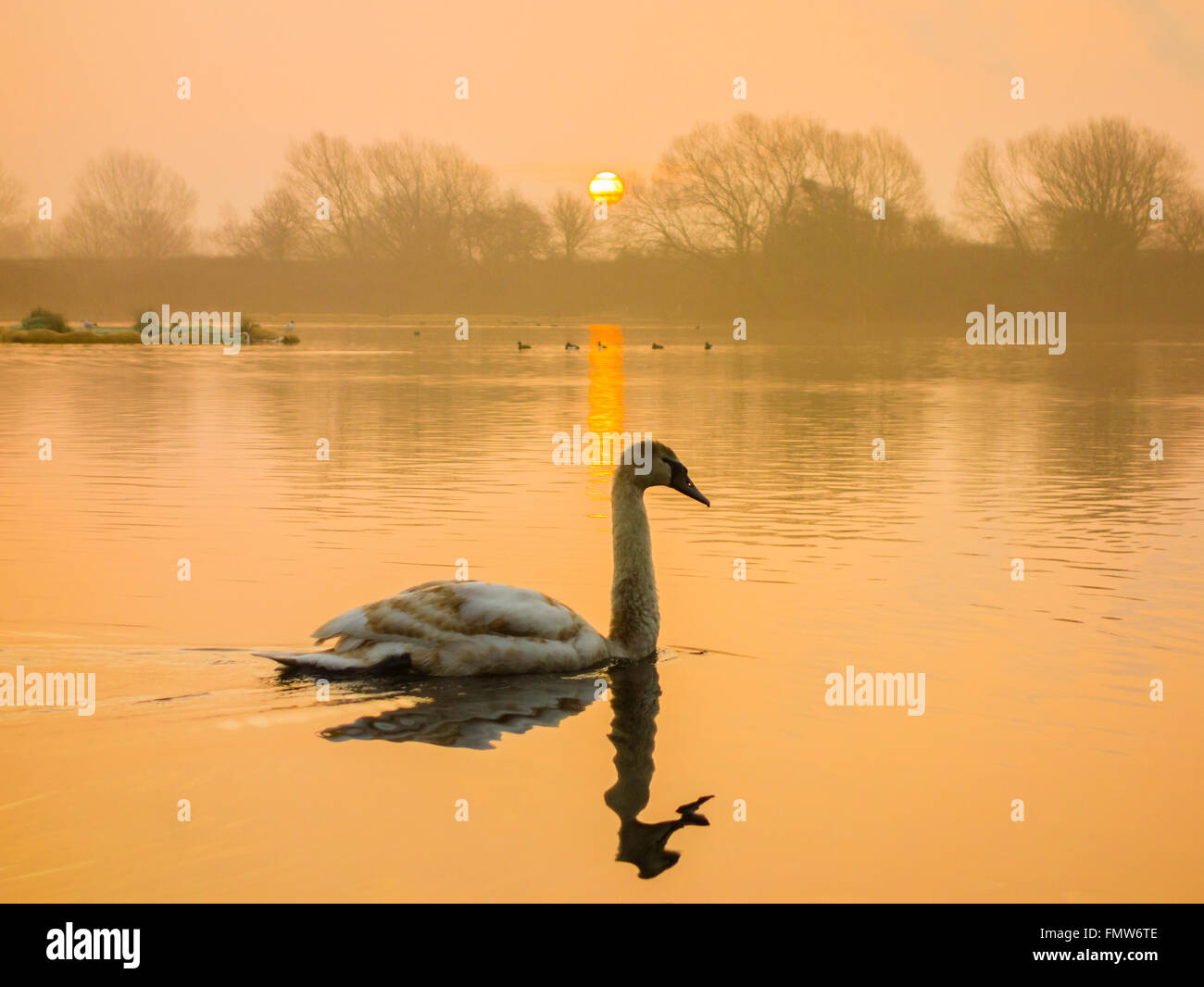 Billingham, north east England, UK, 13th March 2016. Weather: The sun rises over Charltons Pond in Billingham on a glorious spring Sunday in north east England. With high pressure forecast for most of the UK for the coming days, most areas are forecast to see settled, dry weather with some spring sunshine at times. Credit:  Alan Dawson News/Alamy Live News Stock Photo