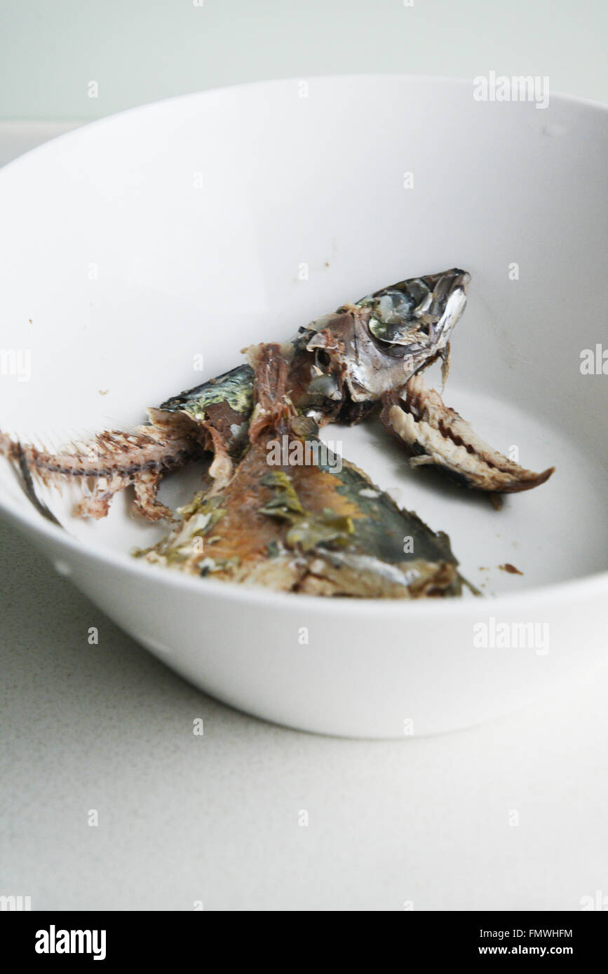 Fish bones hires stock photography and images Alamy